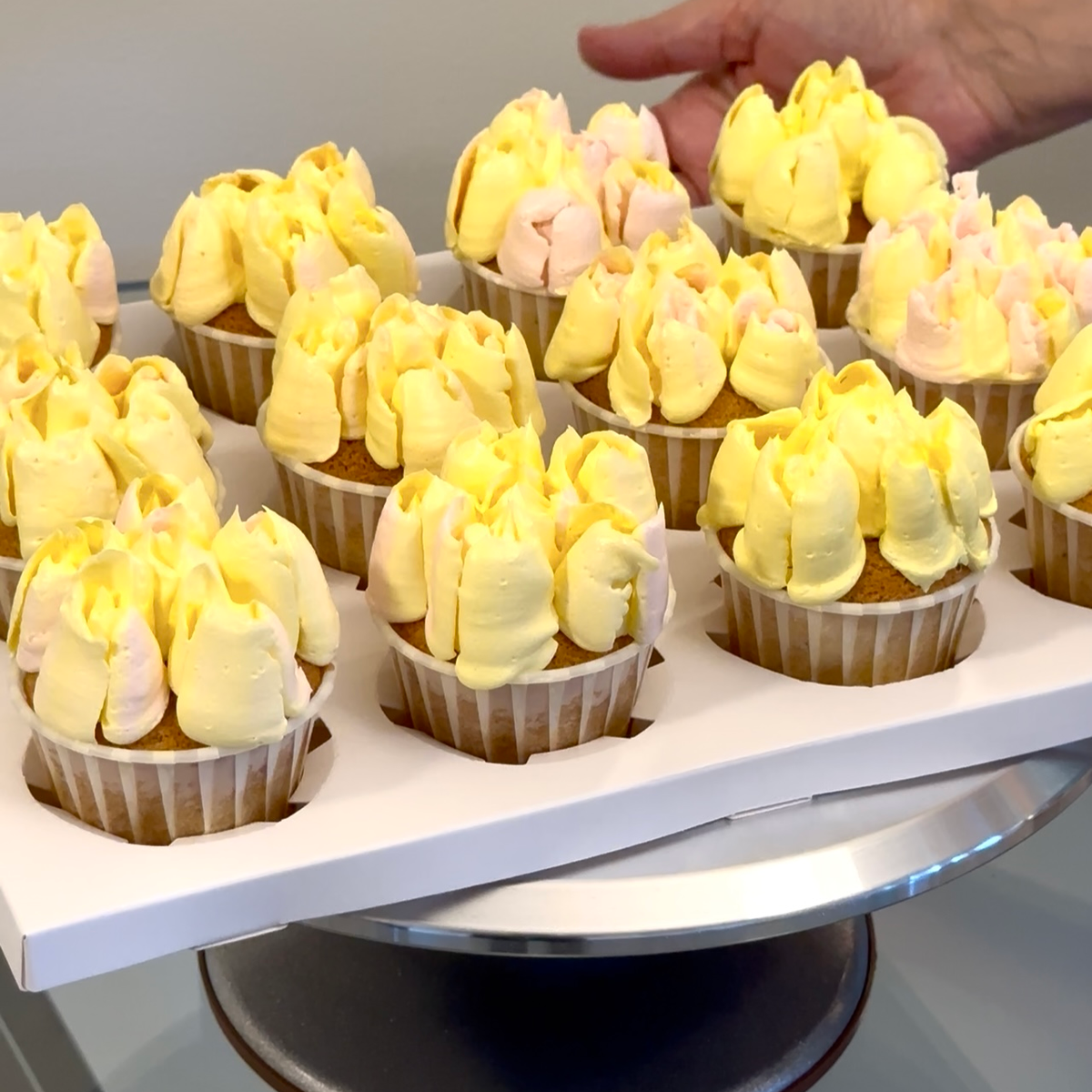 Box of 12 handcrafted cupcakes, YBLN Pastry Calgary