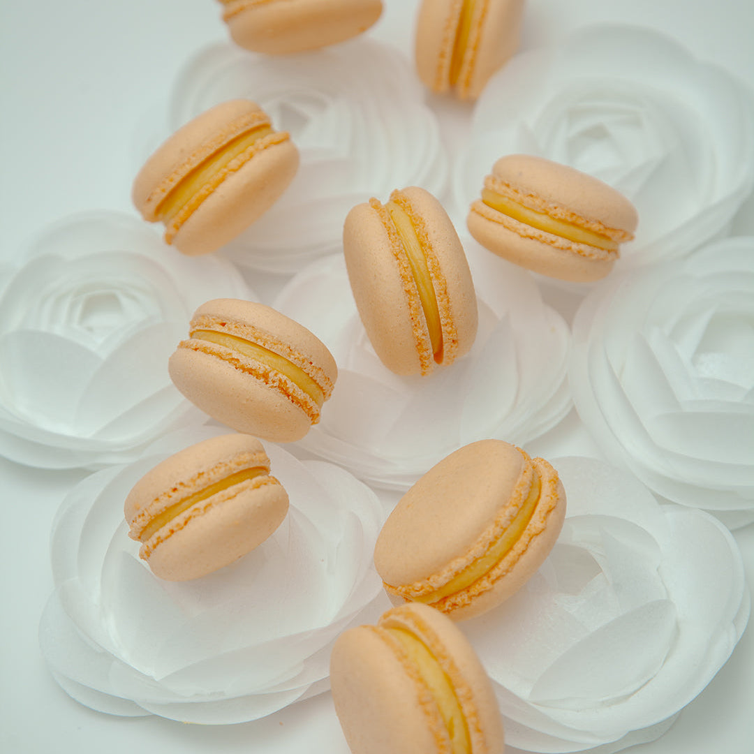 YBLN Collection Signature macaron box, 12 pieces, four flavours, Calgary