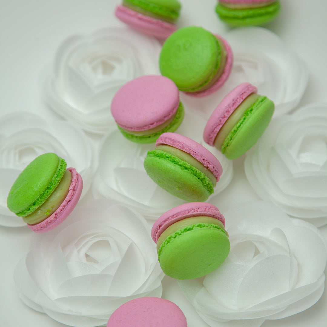 YBLN Collection Signature macaron box, 12 pieces, four flavours, Calgary